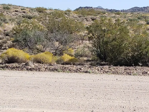 a view of a dry yard with a mountain