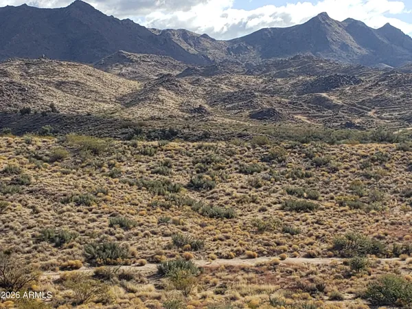 a view of a dry yard with mountains in the background
