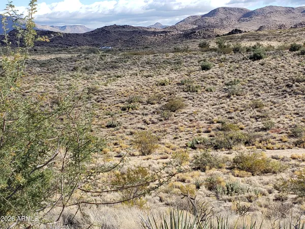 a view of a dry yard with mountains in the background
