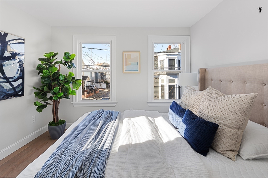 19 George Street, Unit 3 Somerville, MA 02145 - Photo 7 of 20 a living room with furniture and a potted plant