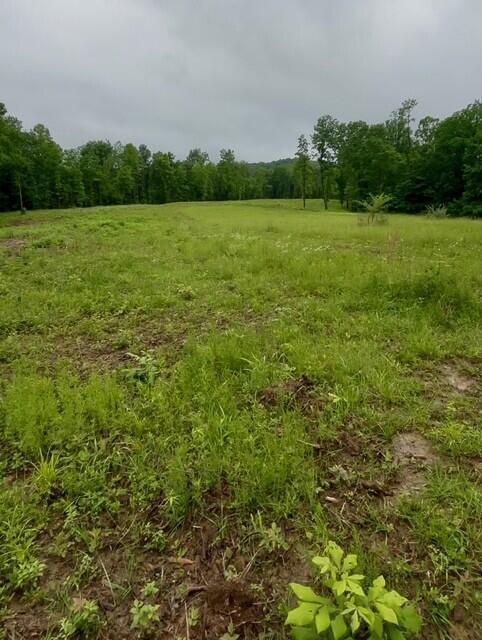 23085 Jordan Run Road Coolville, OH 45723 - Photo 4 of 18 3a3627d5-b753-4dd5-b6a8-d93598891352