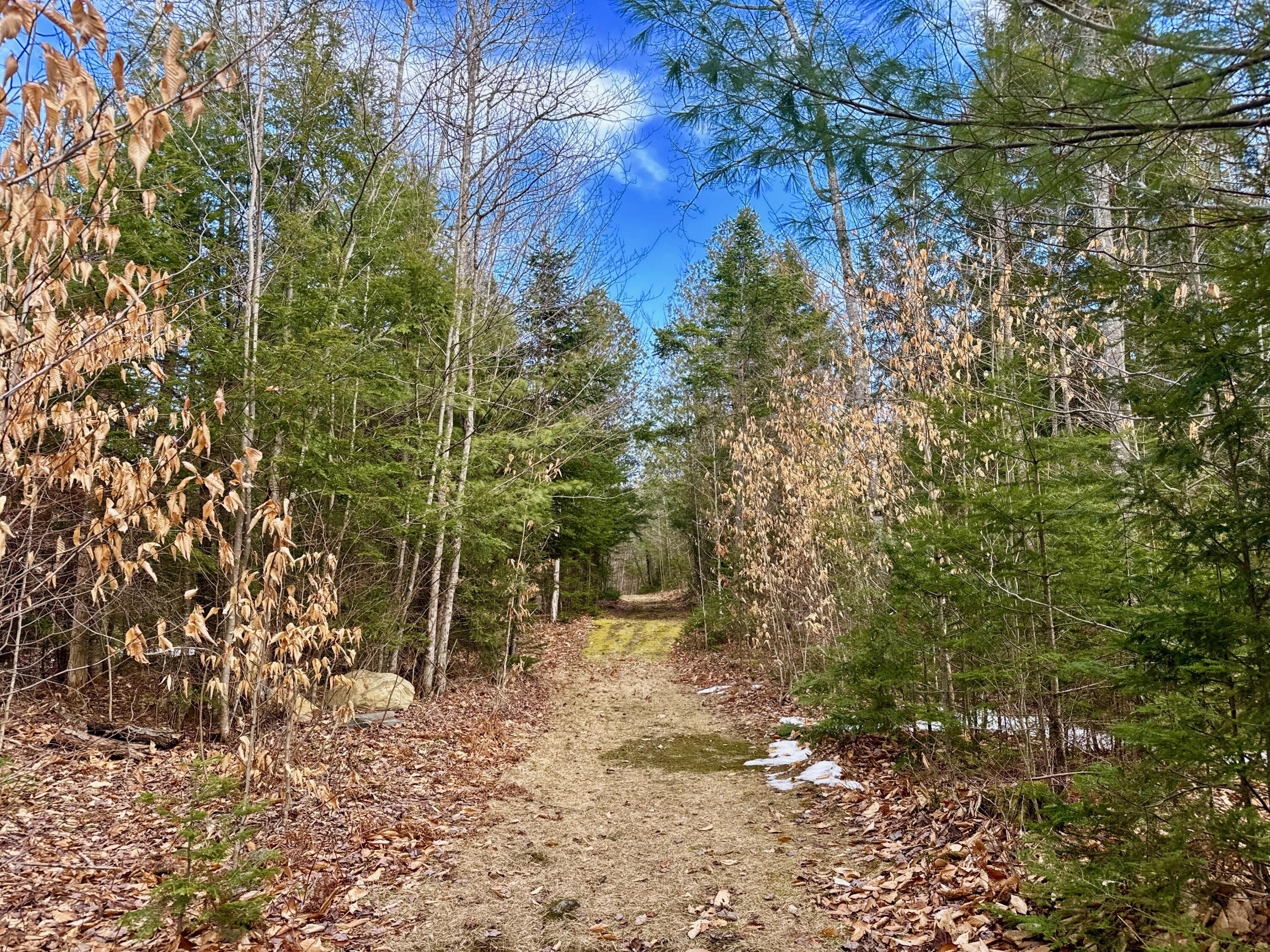 1301 Milo Road Sebec, ME 04481 - Photo 7 of 7