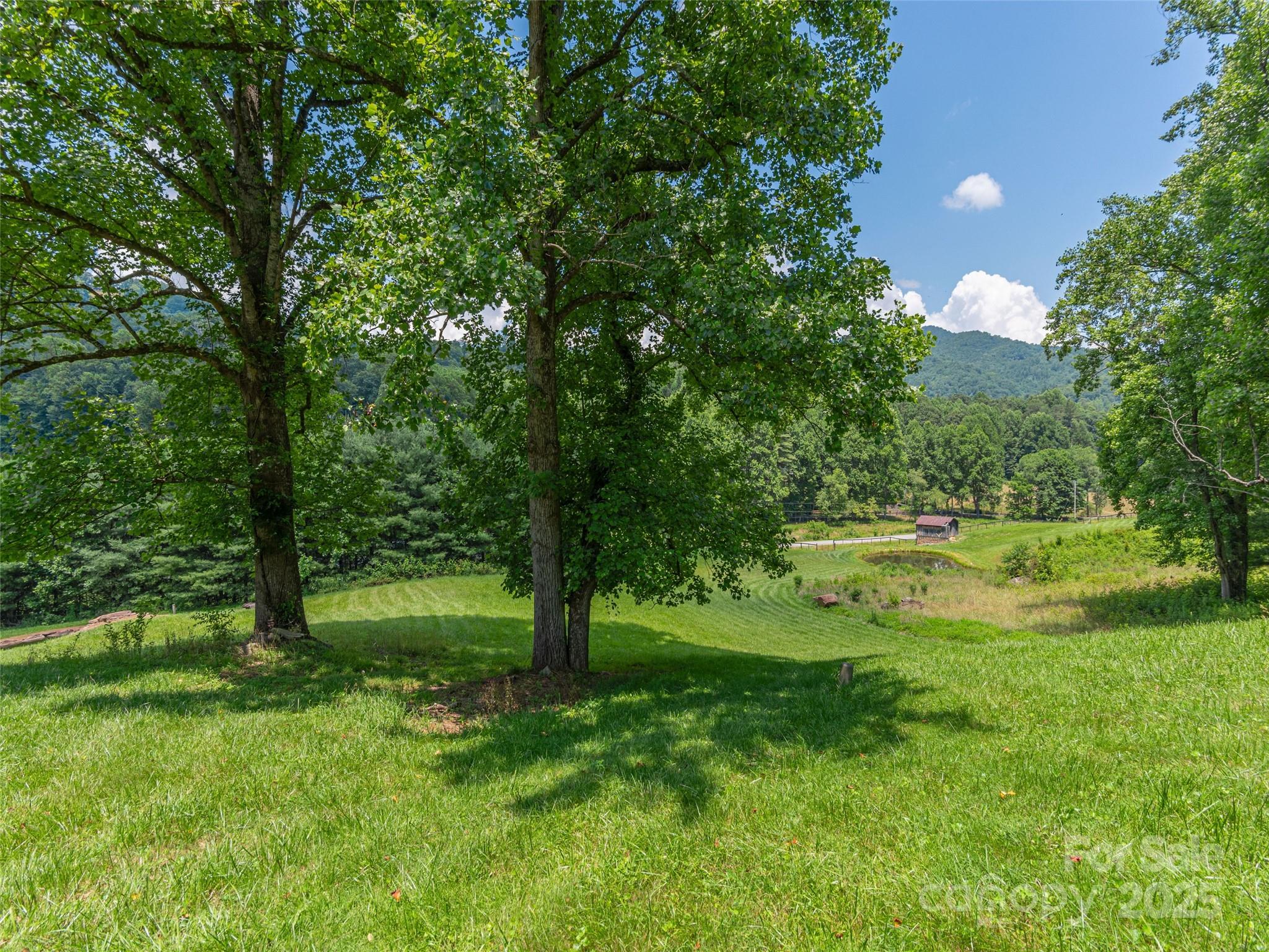 477 Jenkins Road Waynesville, NC 28785 - Photo 42 of 48