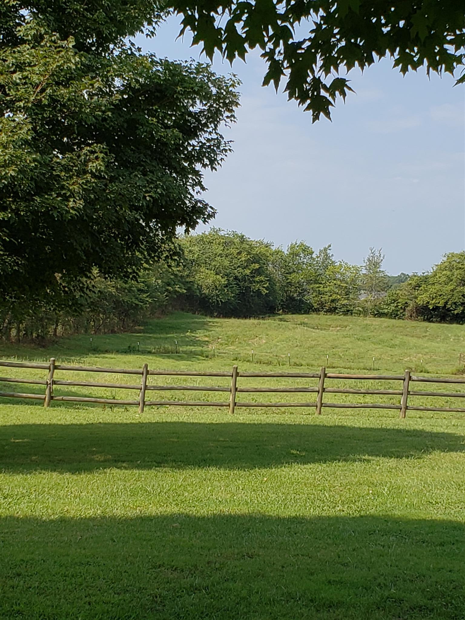 2812 Henry Gower Road Pleasant View, TN 37146 - Photo 23 of 23 a view of park with green space