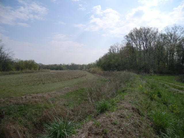 0 South Centennial Road Coldwater, MI 49036 - Photo 2 of 4 CIMG3325