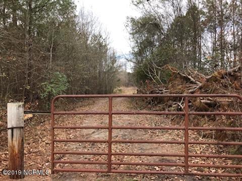 0 East River Road Washington, NC 27889 - Photo 3 of 9 Gate