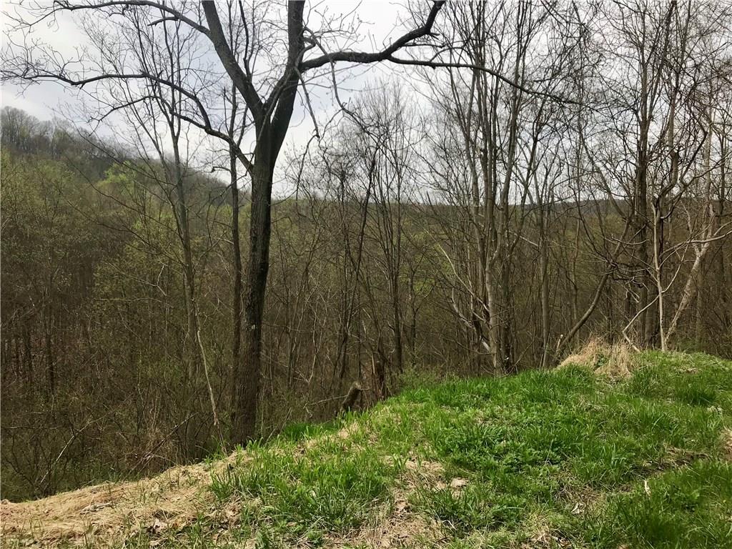702 Redbank Road Templeton, PA 16259 - Photo 2 of 8 Beginning of property where it crosses Scenic Rd.