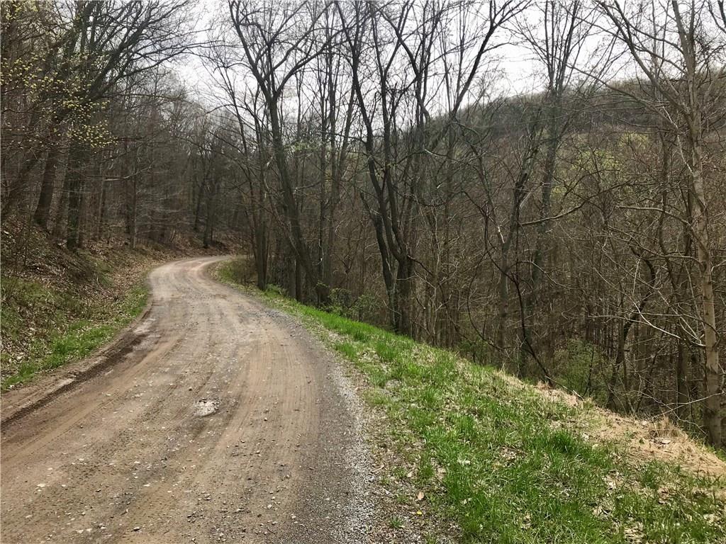 702 Redbank Road Templeton, PA 16259 - Photo 3 of 8 View of Scenic Rd at the property line.