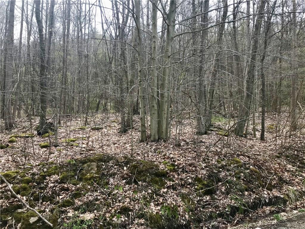 702 Redbank Road Templeton, PA 16259 - Photo 5 of 8 Acreage is mostly wooded- excellent hunting!