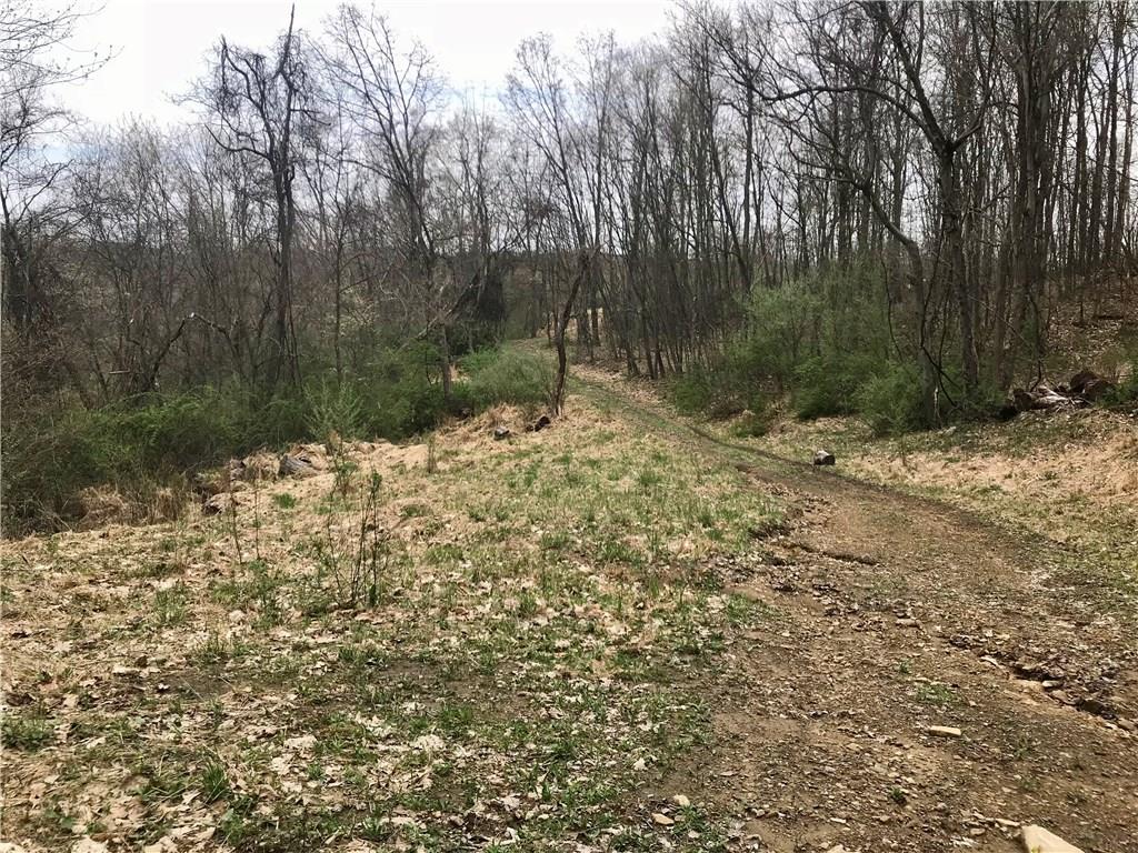 702 Redbank Road Templeton, PA 16259 - Photo 7 of 8 Former road to old homestead. Access to gas lines-fell free to park and walk in. Could be a good spot for your new driveway. Electric is accessible from Scenic Rd.