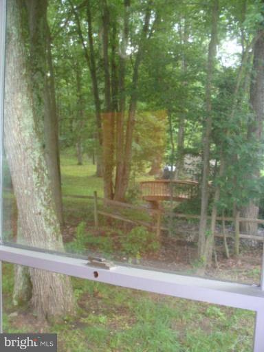 18244 Old Triangle Road Triangle, VA 22172 - Photo 3 of 15 Back yard