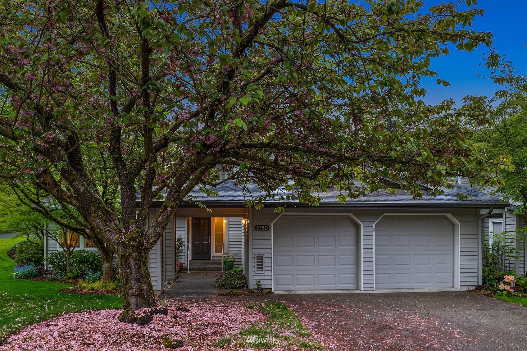 front view of a house with a tree