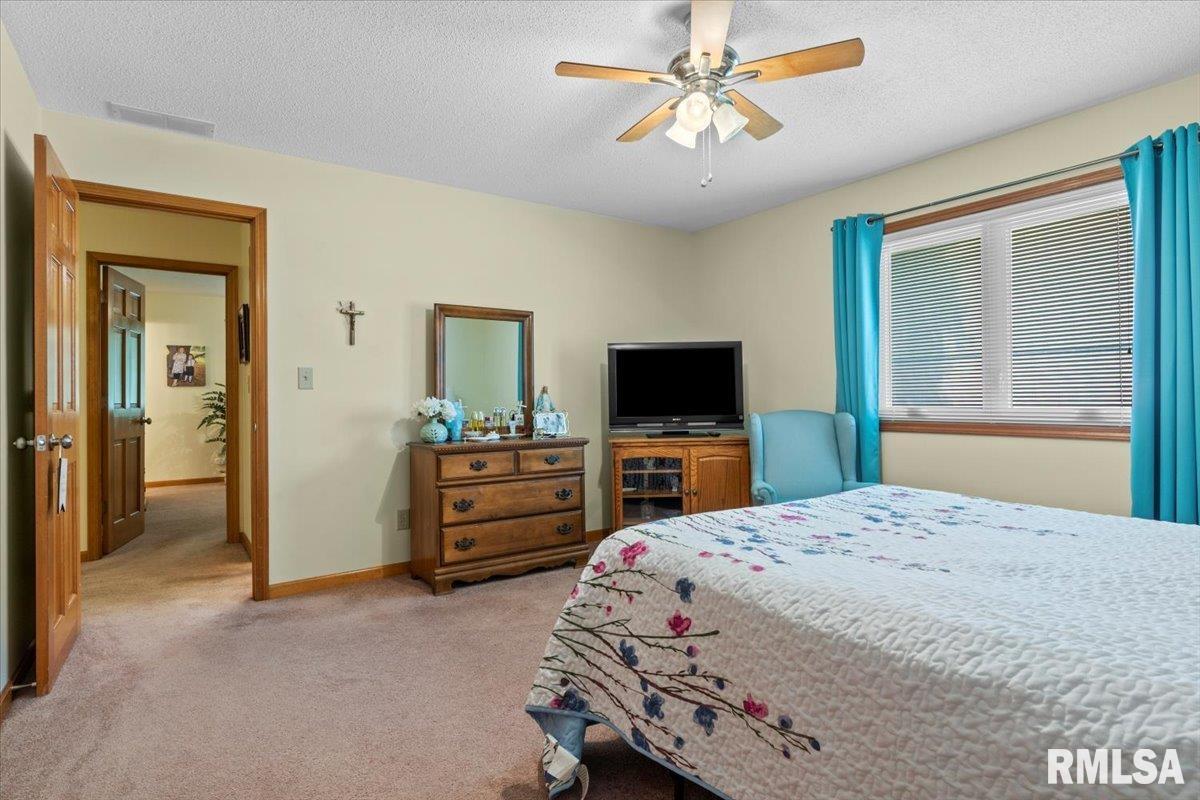 407 Bellerive Road Springfield, IL 62704 - Photo 22 of 30