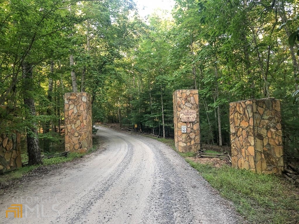 Lot 60-and Enchanting Frst  