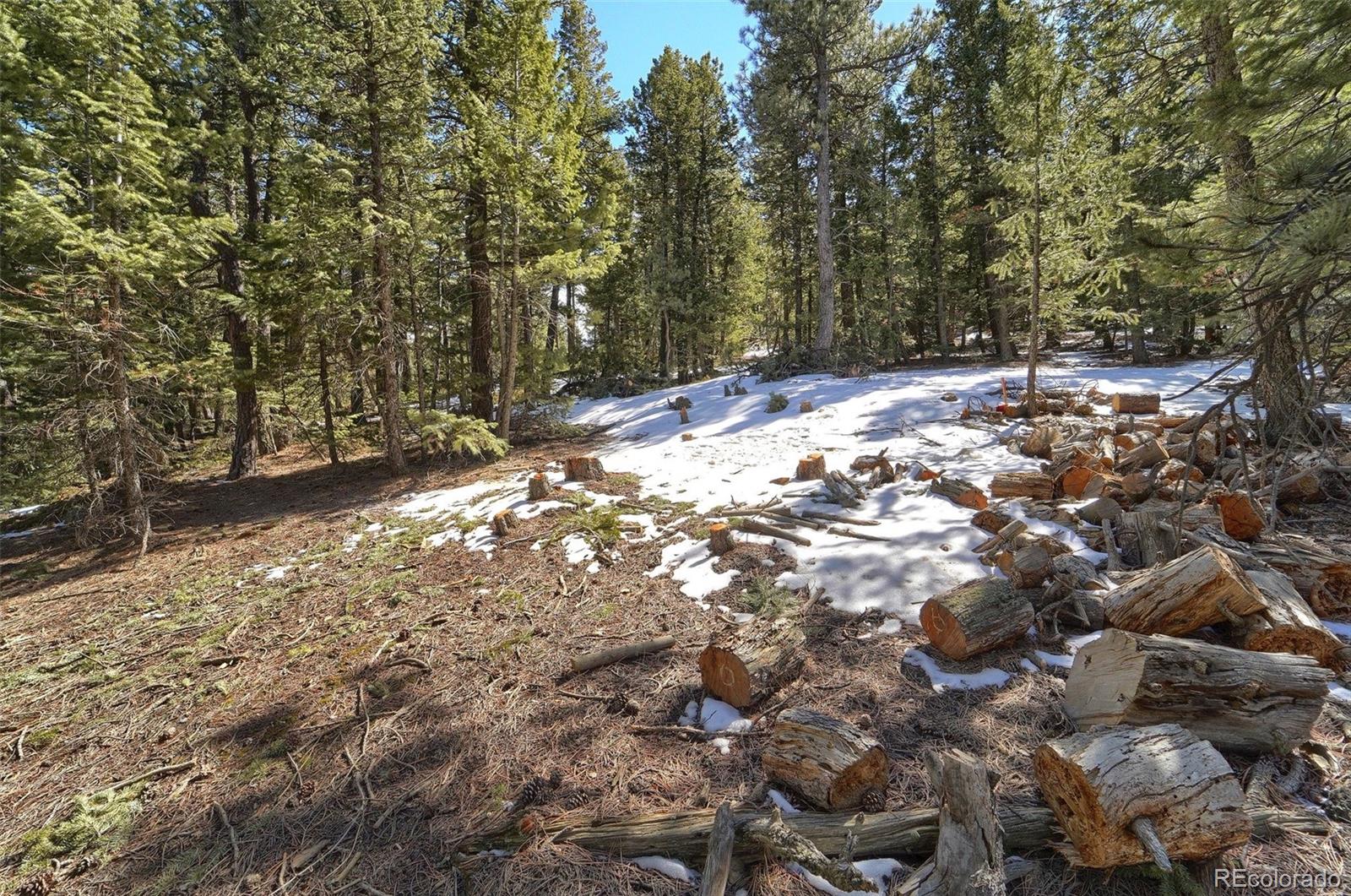 1352 Gross Dam Road Golden, CO 80403 - Photo 6 of 19 Gallery Image 6
