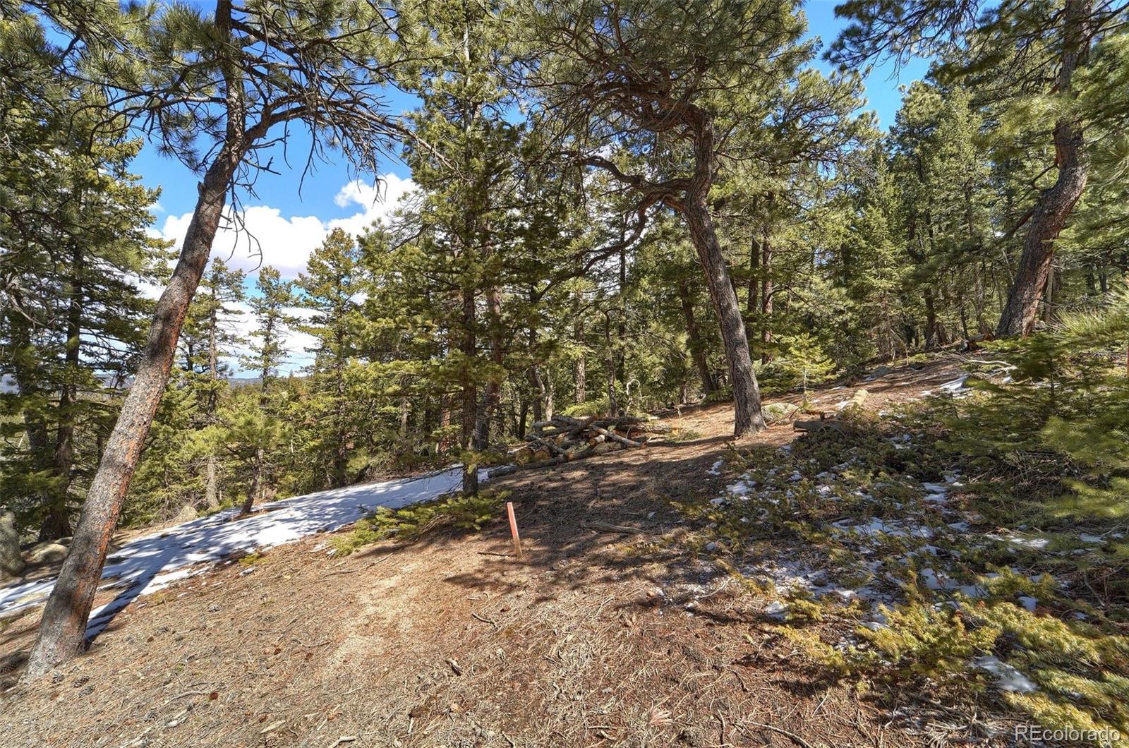 1352 Gross Dam Road Golden, CO 80403 - Photo 8 of 19 Gallery Image 8