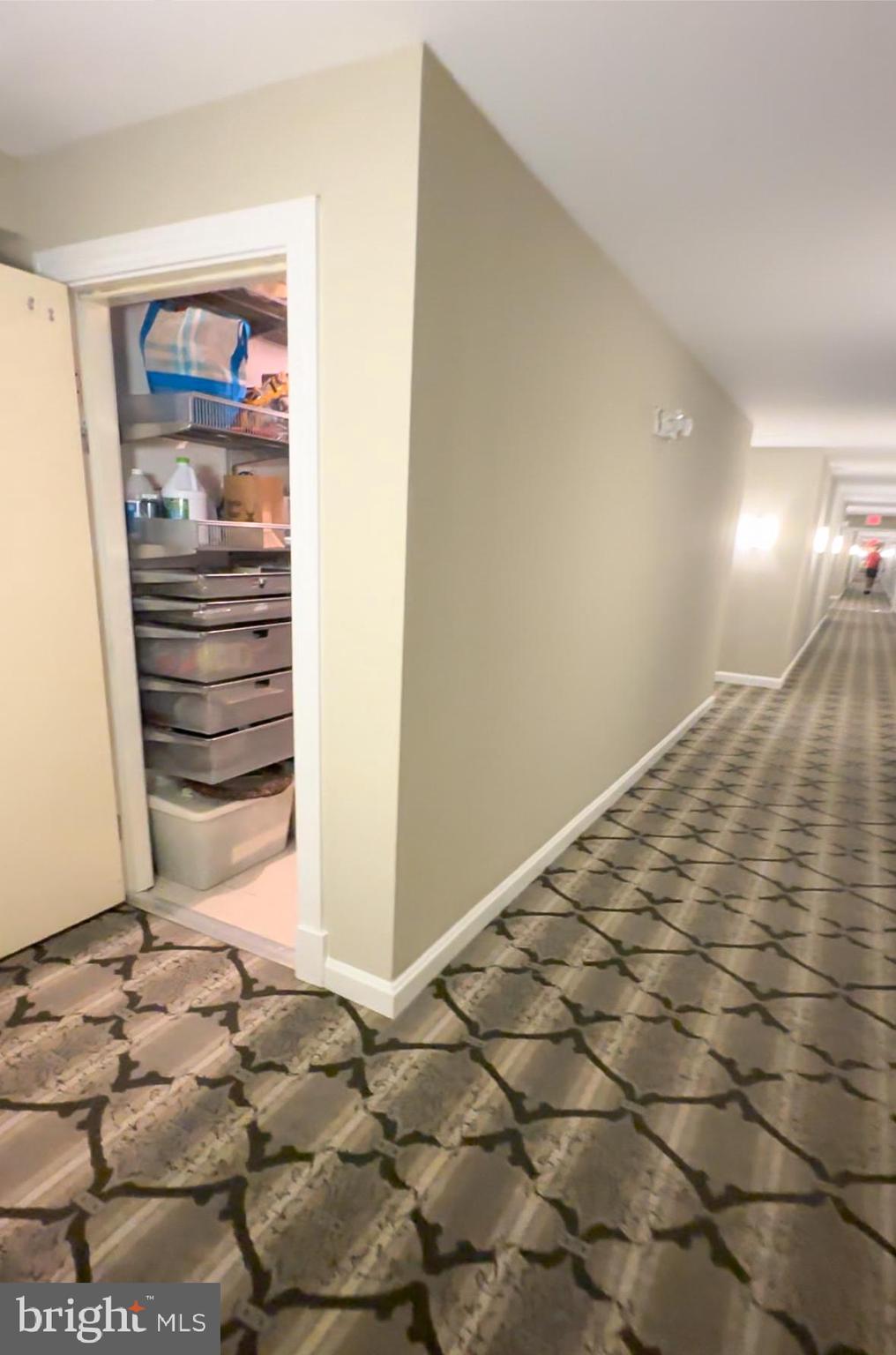 12000 Market Street, Unit 428 Reston, VA 20190 - Photo 35 of 105 Exclusive spacious Elfa storage system! 4'x8'x10'