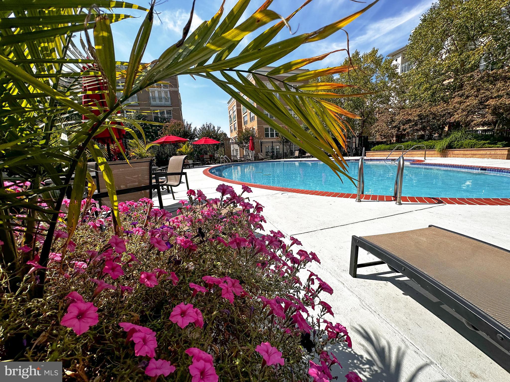 12000 Market Street, Unit 428 Reston, VA 20190 - Photo 43 of 105 Lounge chairs for sun bathing