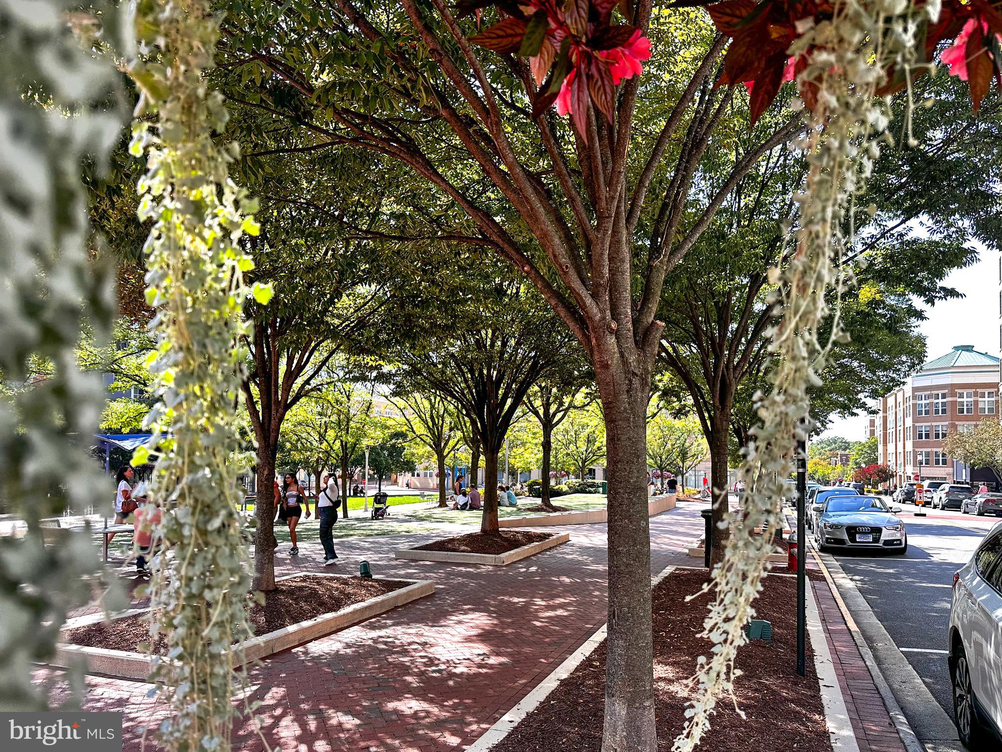 12000 Market Street, Unit 428 Reston, VA 20190 - Photo 97 of 105 Central Park and pet friendly!!!