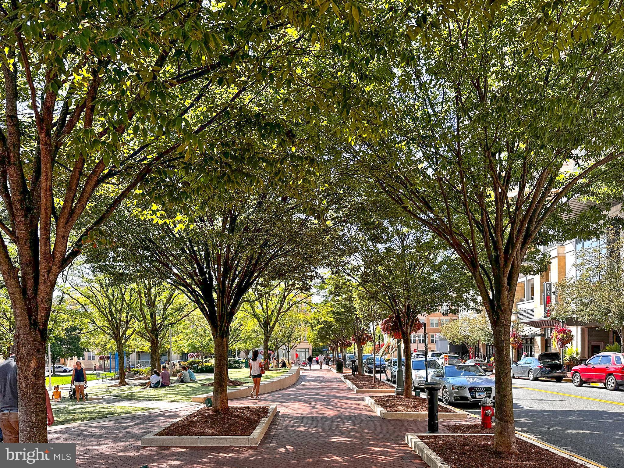 12000 Market Street, Unit 428 Reston, VA 20190 - Photo 98 of 105 Central Park and pet friendly!!!