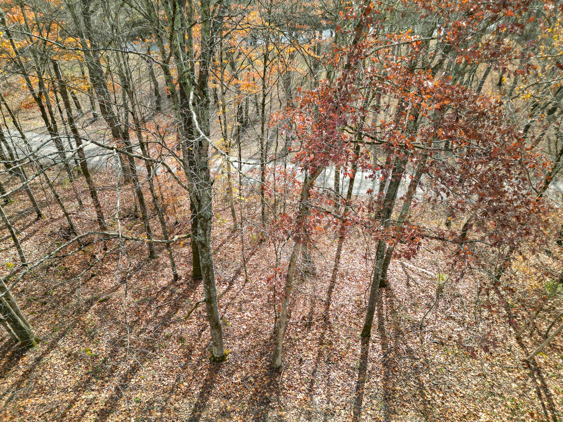 0 Keystone Road, Unit CREEKVIEW CABIN) Vinton, OH 45686 - Photo 72 of 95 CT-72