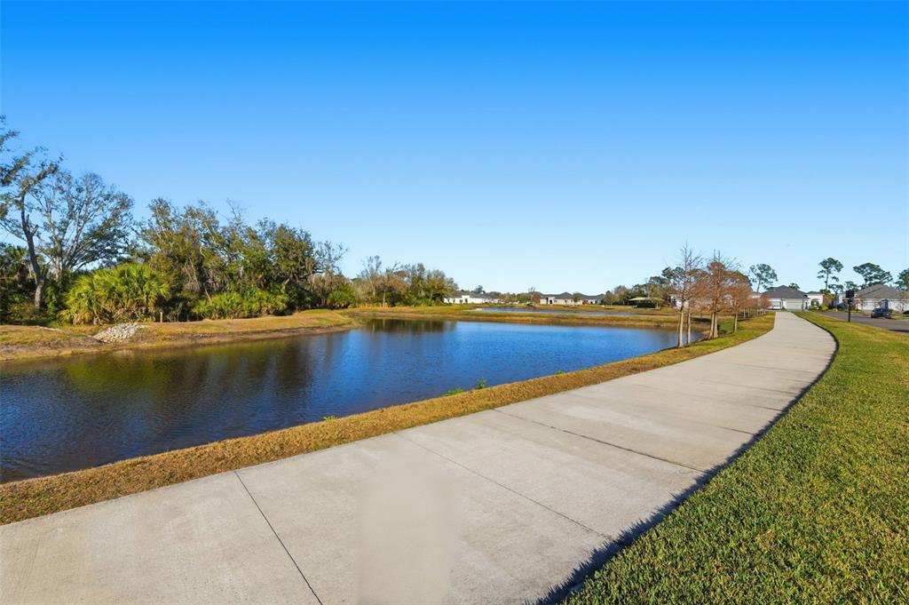 10141 Spruce River Way Parrish, FL 34219 - Photo 39 of 62