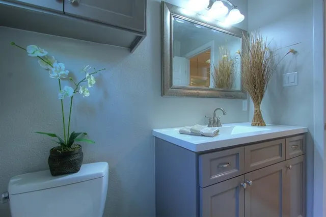 a bathroom with a toilet a sink and mirror