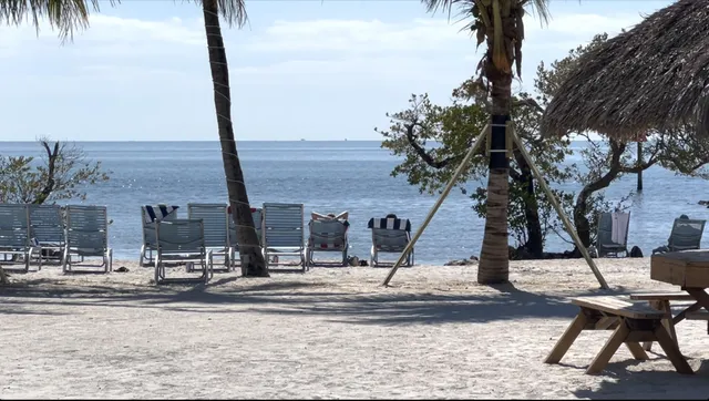 a view of a terrace with a tree