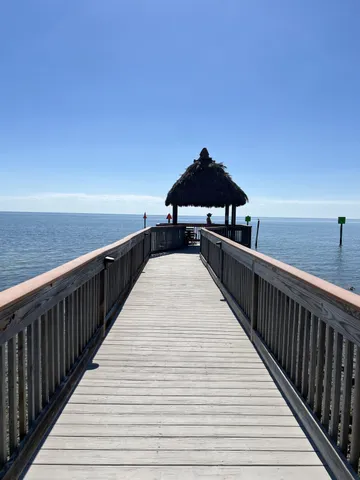 a view of swimming pool with a lounge chair