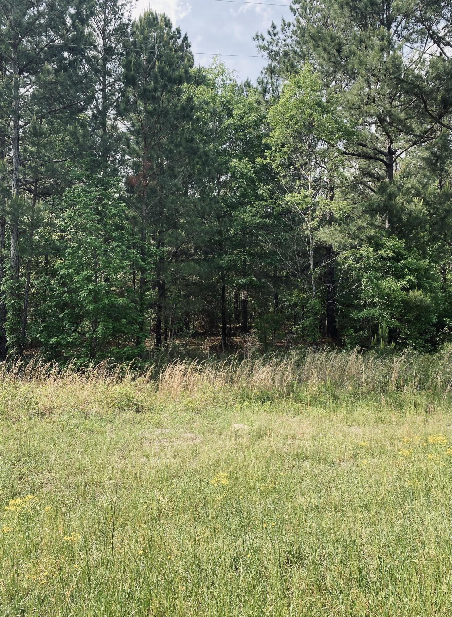 1595 Happy Valley Road Thomson, GA 30824 - Photo 1 of 1 Land