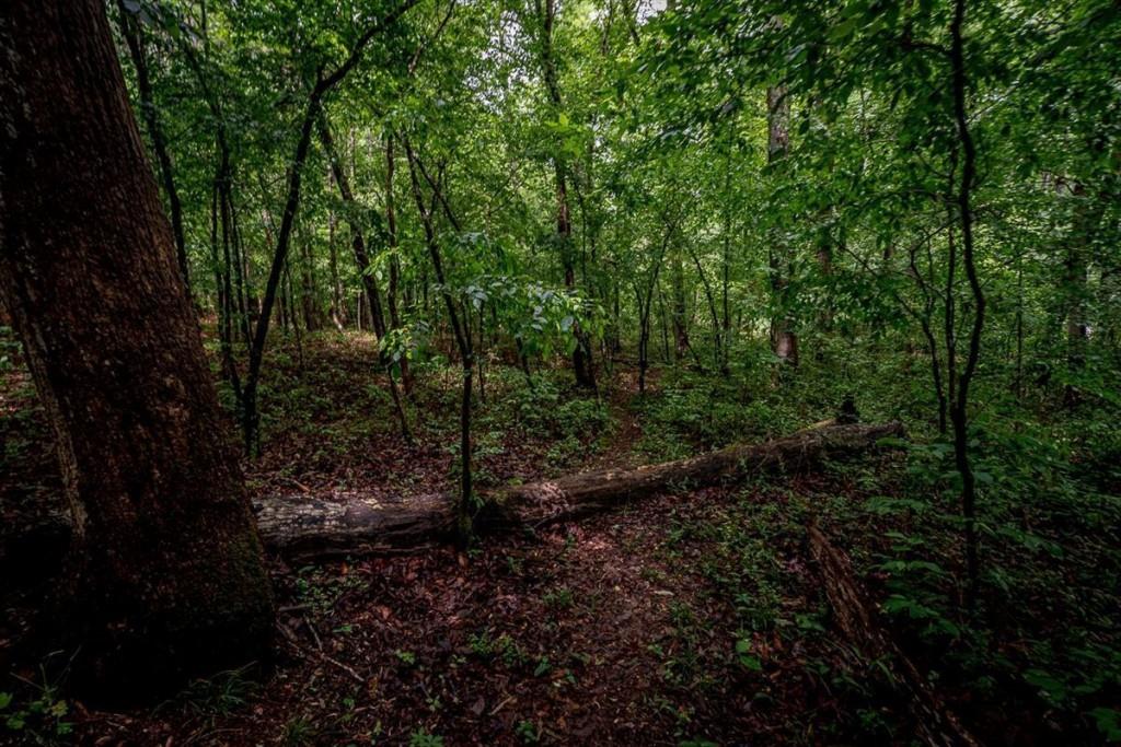1715 Ammons Bridge Road Monroe, GA 30655 - Photo 74 of 84