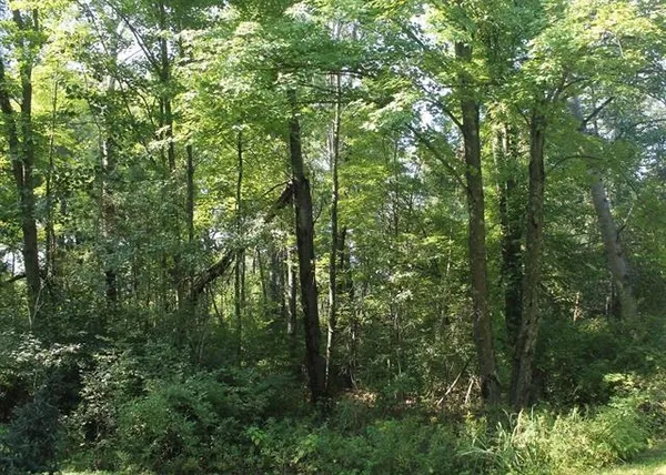 $35,000 | Lot 53 3rd, Oxford, WI 53952