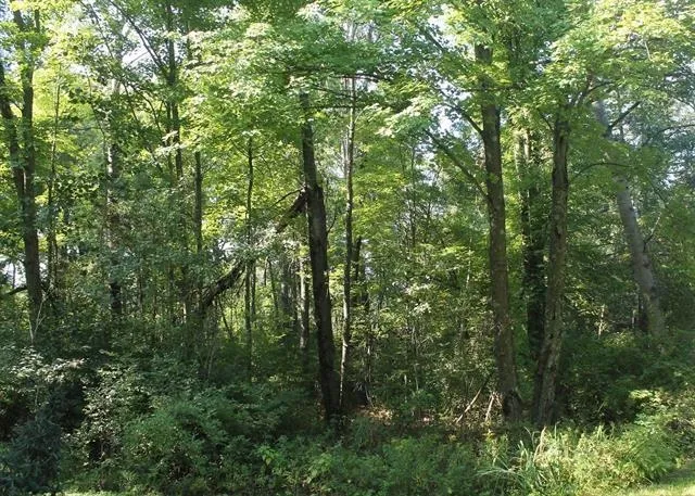 $35,000 | Lot 53 3rd, Oxford, WI 53952