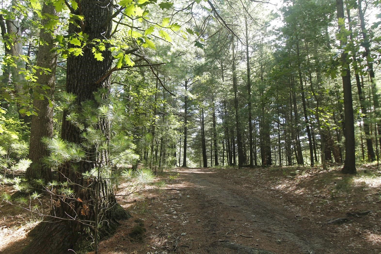 Lot 53 3rd Oxford, WI 53952 - Photo 5 of 8