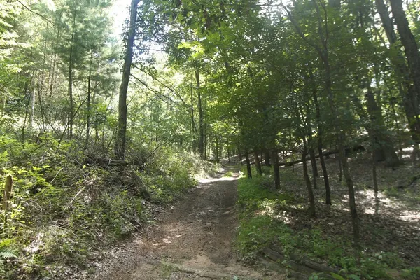 $35,000 | Lot 53 3rd, Oxford, WI 53952
