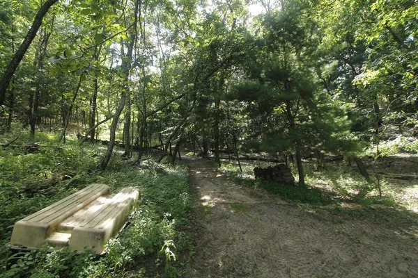 $35,000 | Lot 53 3rd, Oxford, WI 53952