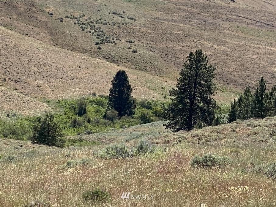 6811 Jumpoff Road, Unit LOT E Wenatchee, WA 98801 - Photo 2 of 15 Gallery Image 2