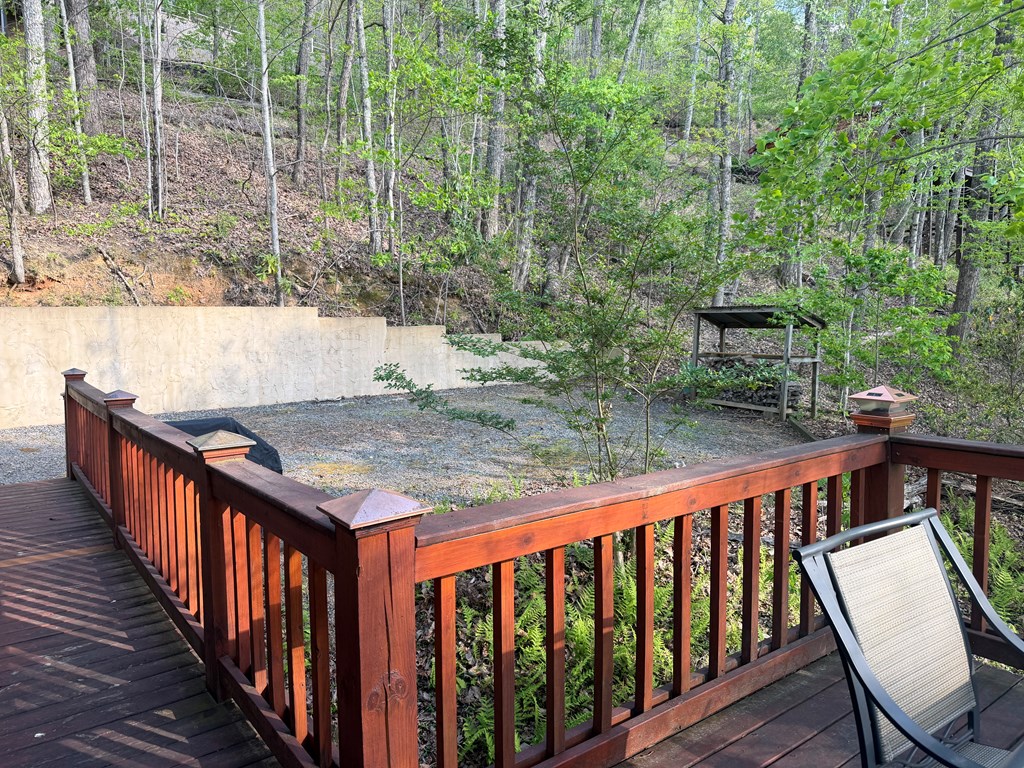 660 Ripshin Mountain Road Blue Ridge, GA 30513 - Photo 32 of 40