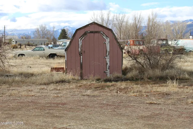 a view of a dry yard with large trees