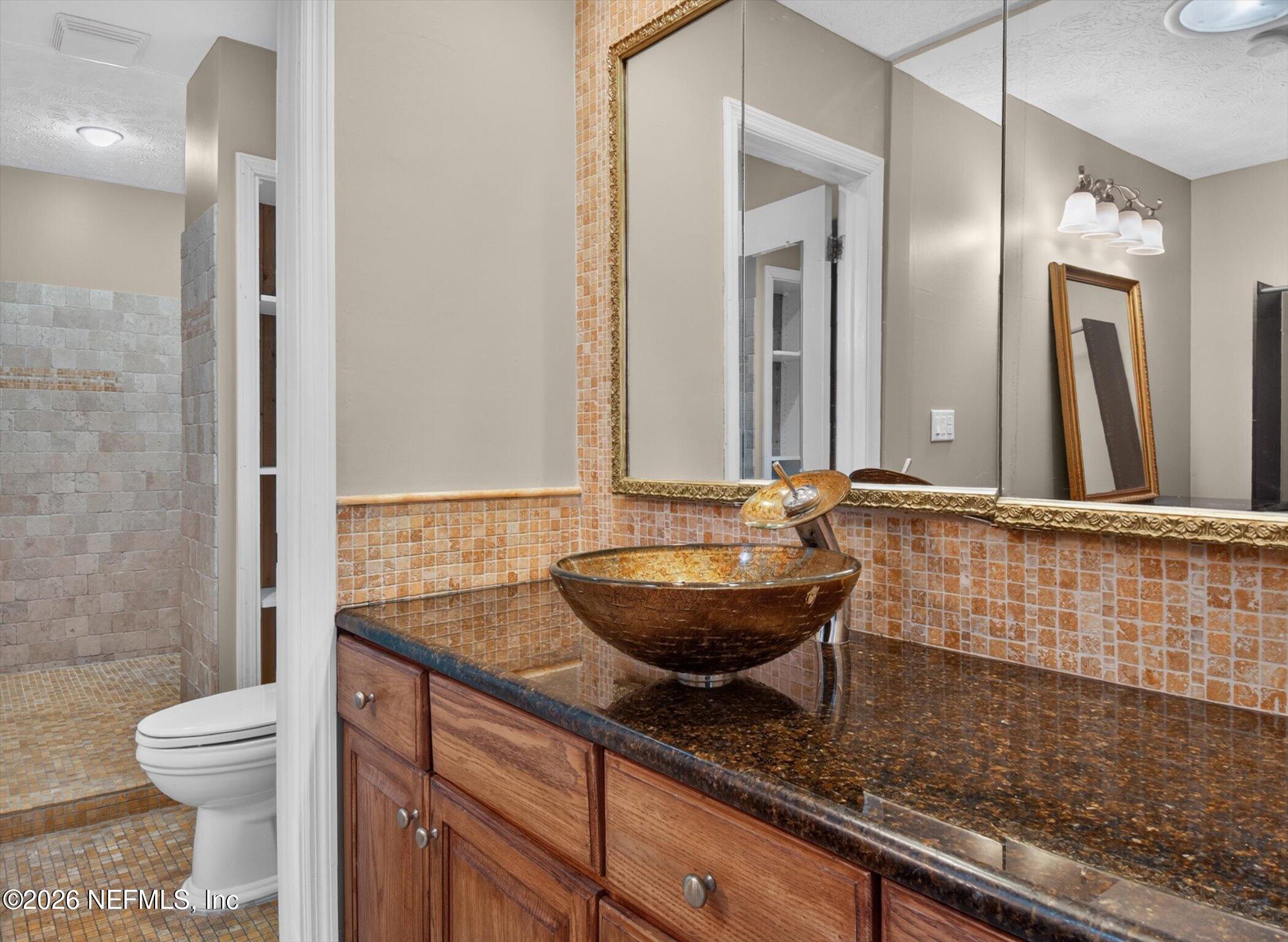 2705 Navajo Road Orange Park, FL 32073 - Photo 40 of 58 a bathroom with a granite countertop sink a toilet and a mirror