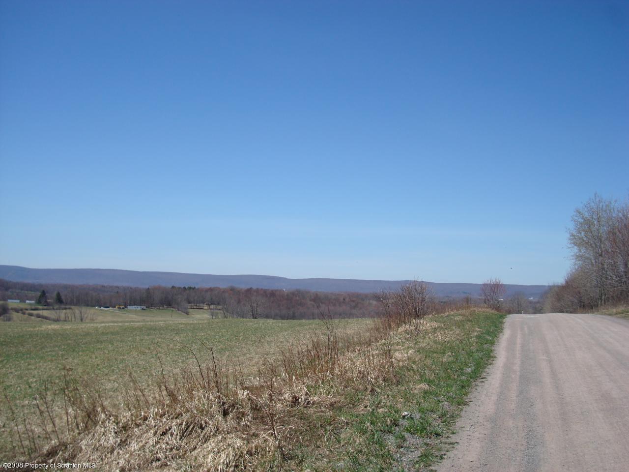85 Stove Pipe Road Waymart, PA 18472 - Photo 20 of 21 a view of a lush green space with a lake view