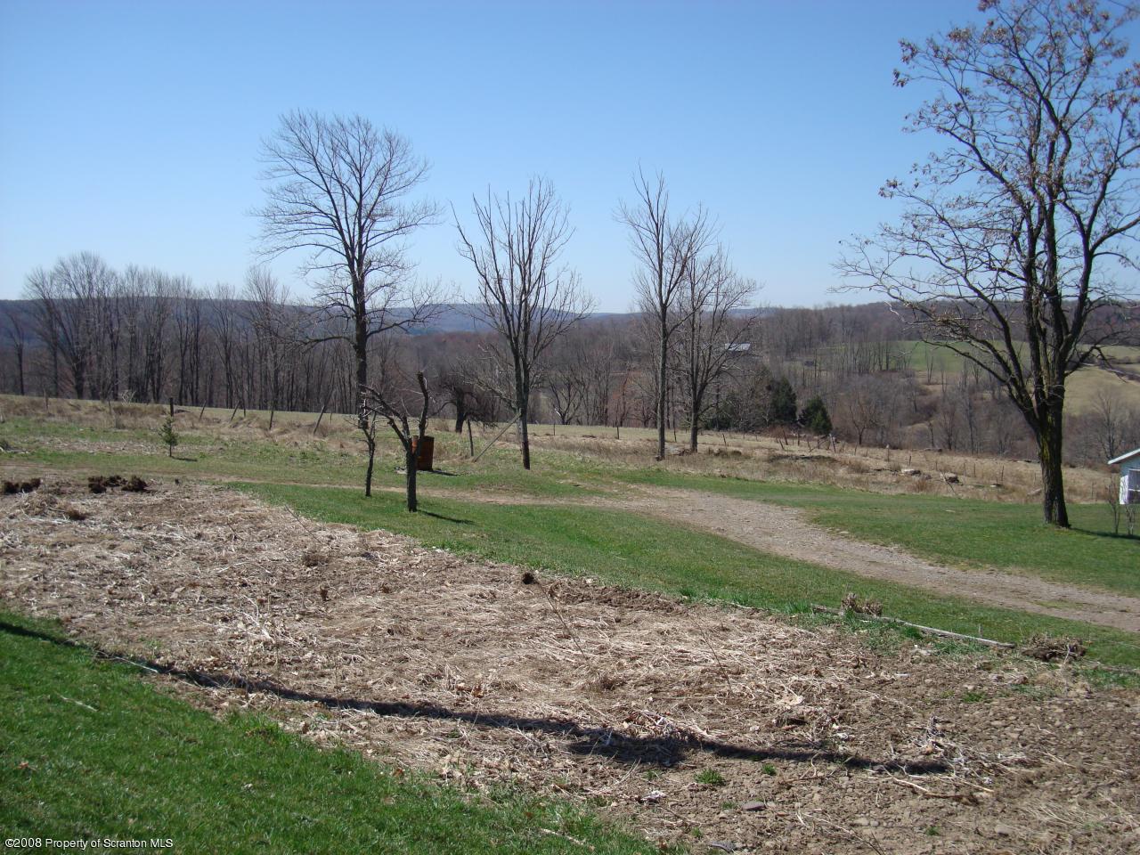 85 Stove Pipe Road Waymart, PA 18472 - Photo 21 of 21 a view of a park
