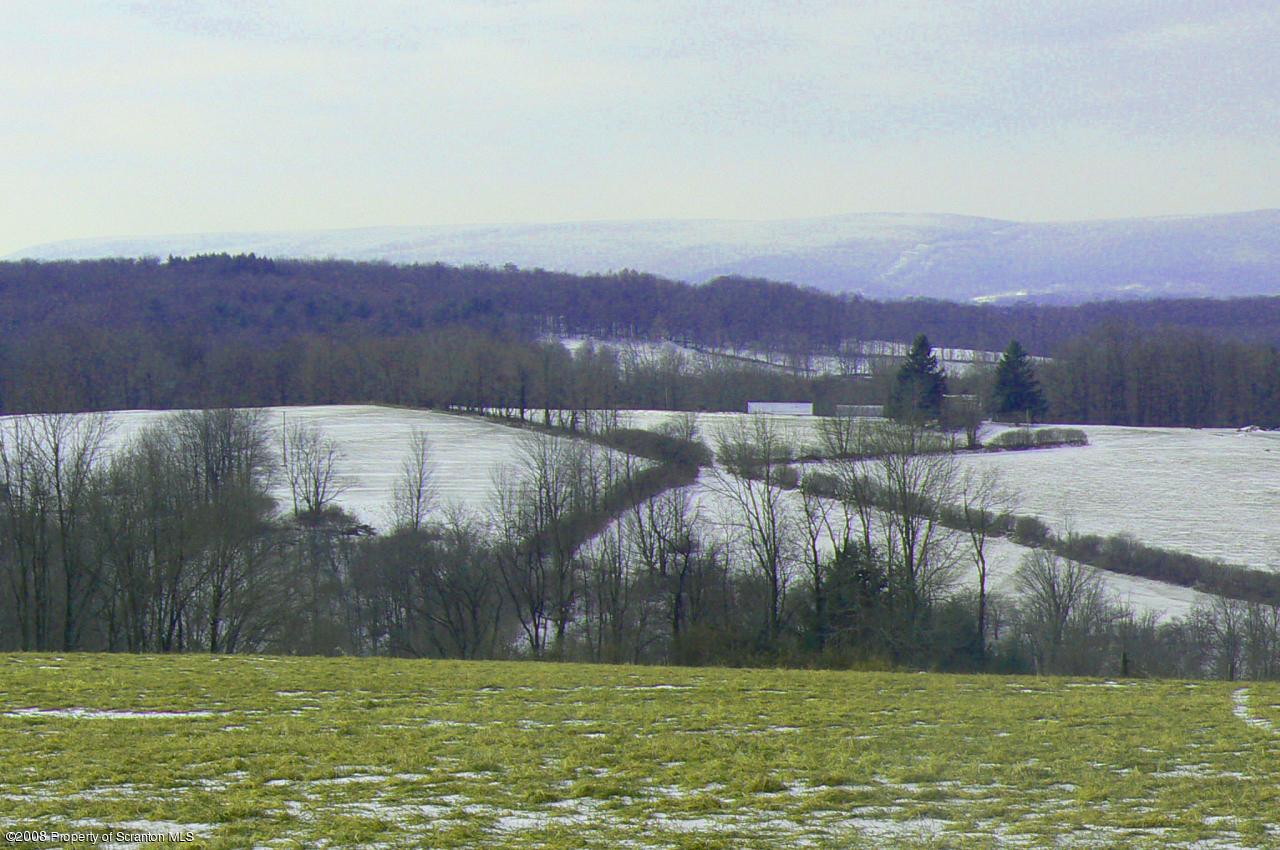 85 Stove Pipe Road Waymart, PA 18472 - Photo 10 of 21 a view of a lake with a mountain in the background