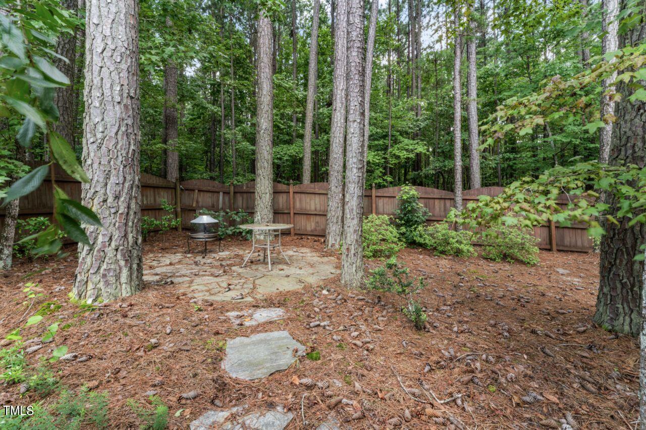 4522 Shady Side Lane Durham, NC 27713 - Photo 27 of 28 a backyard of a house with lots of green space and fountain