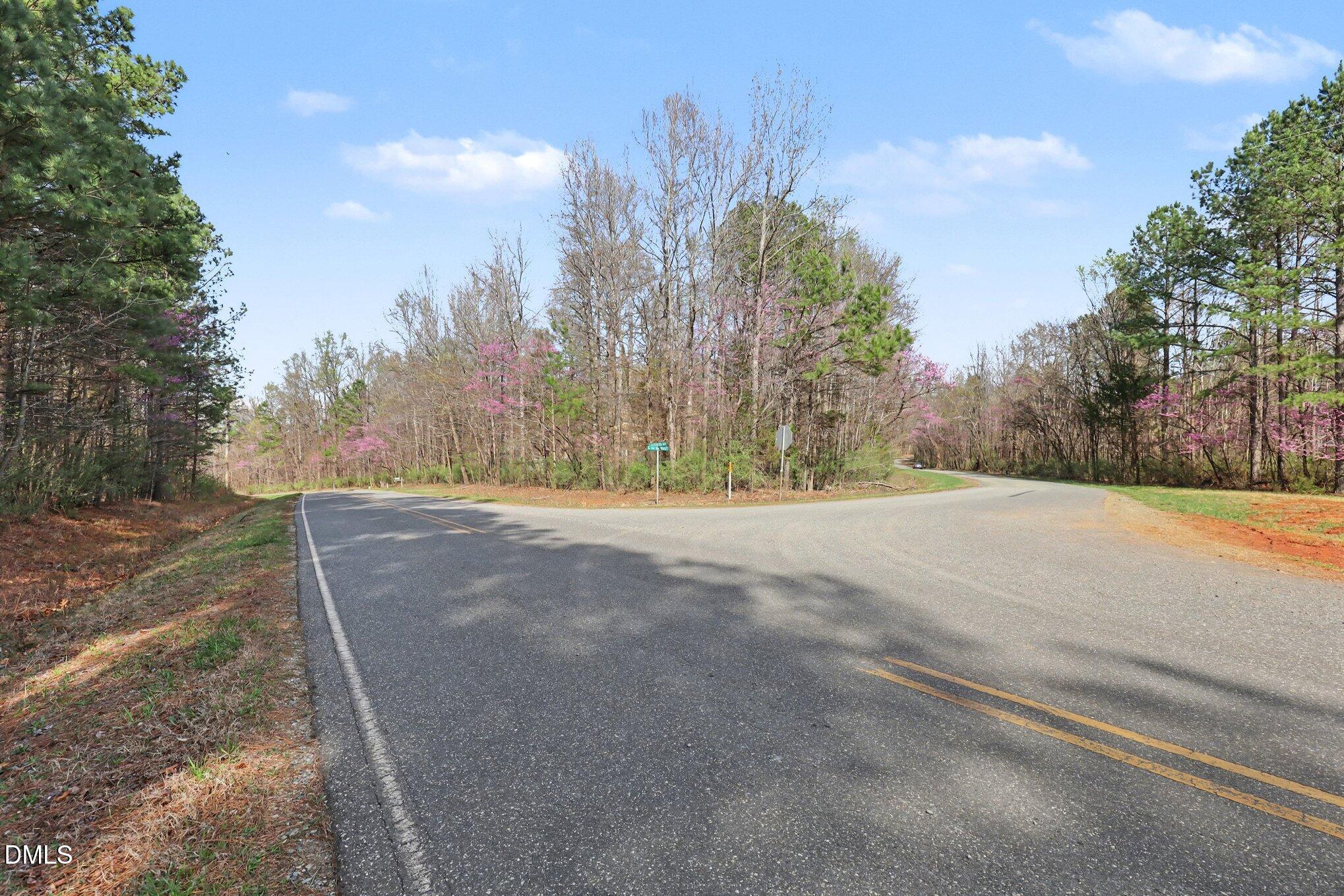 2817 Jay Shambley Road Pittsboro, NC 27312 - Photo 13 of 17 a view of road view with large trees