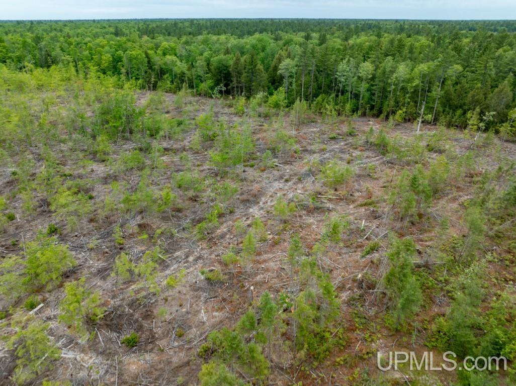 Tbd Off Co Rd 450 Road Seney, MI 49883 - Photo 12 of 13