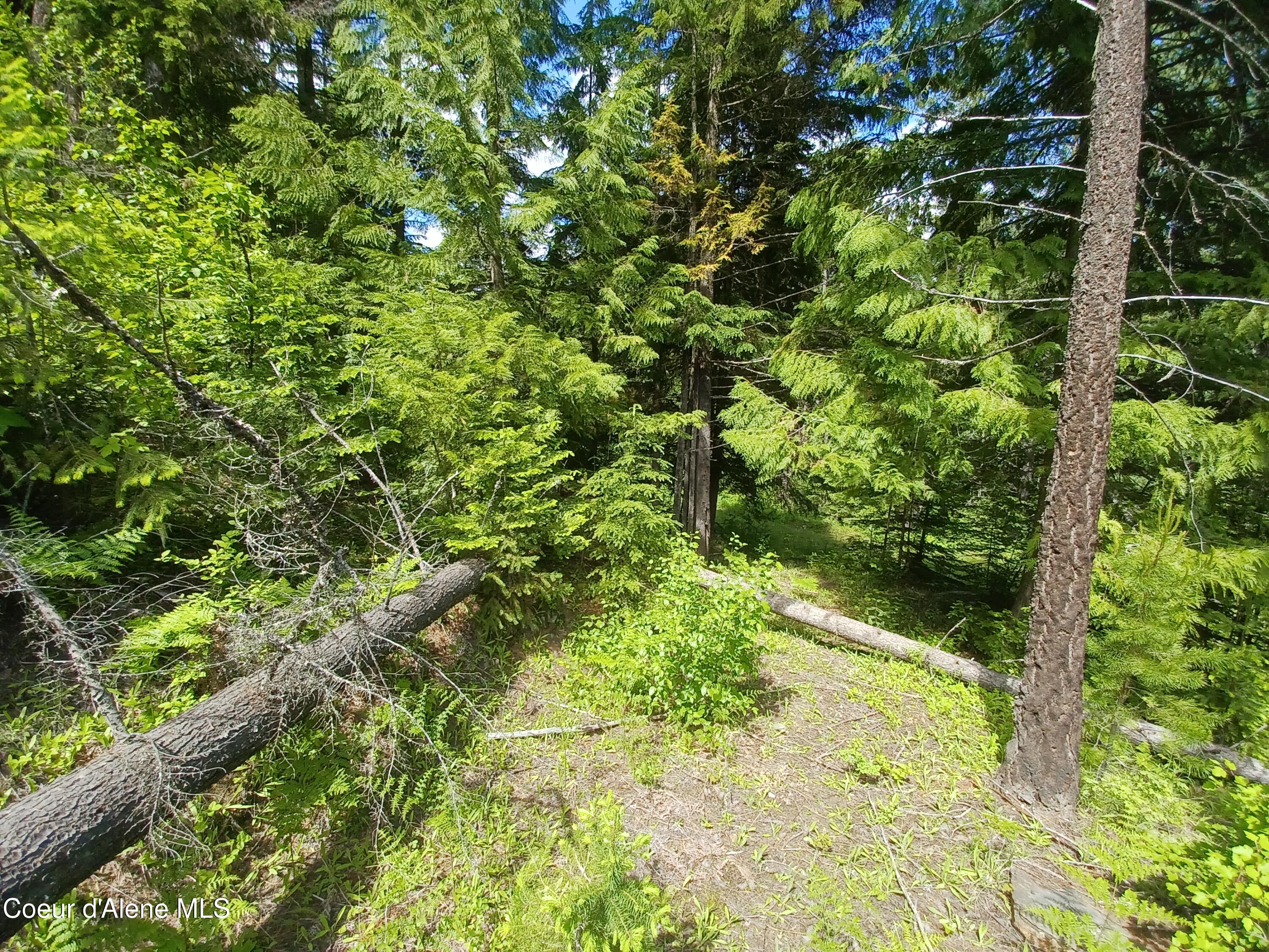 127 Coyote Trail Priest River, ID 83856 - Photo 12 of 29 Land