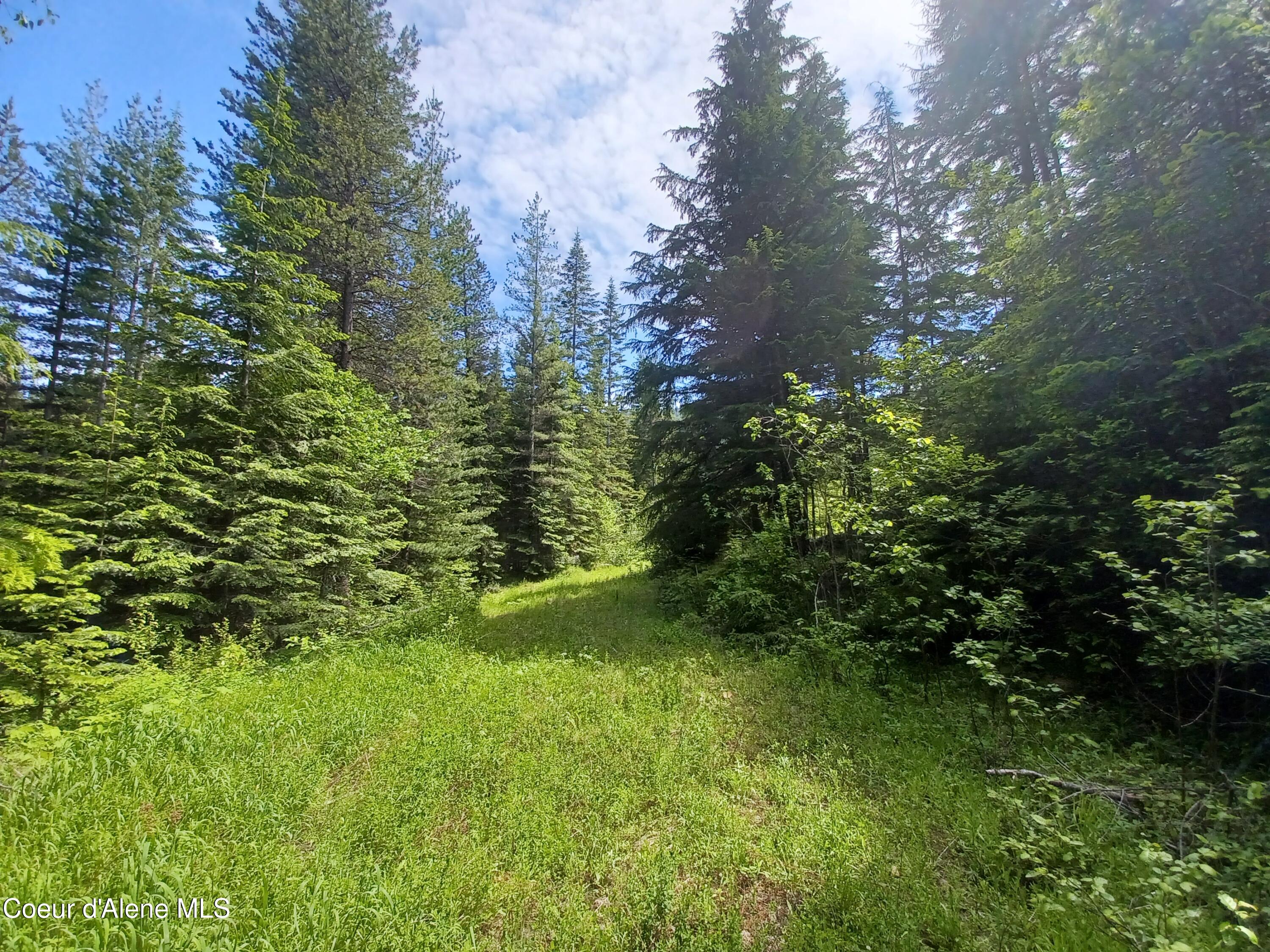 127 Coyote Trail Priest River, ID 83856 - Photo 13 of 29 Land