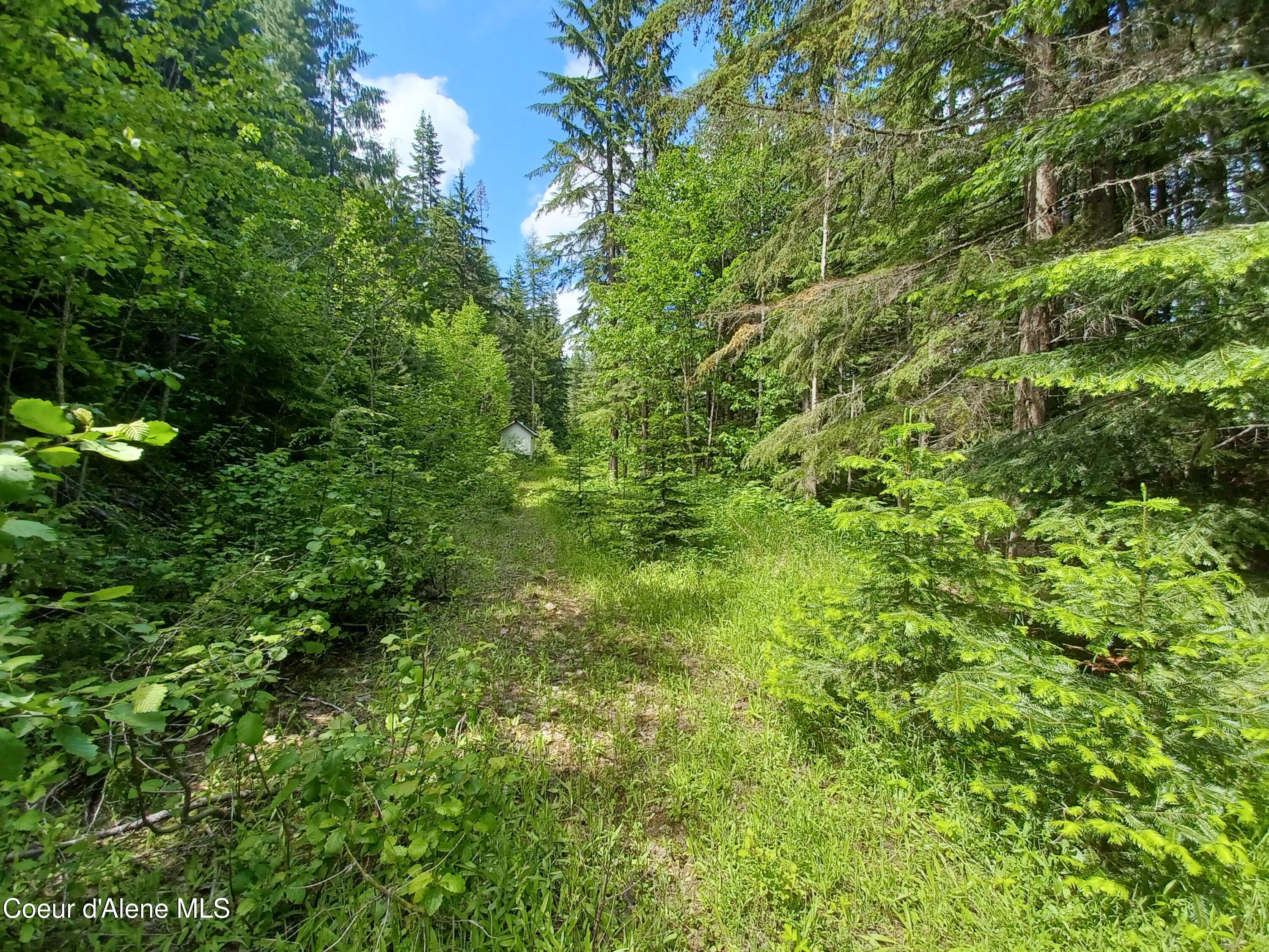 127 Coyote Trail Priest River, ID 83856 - Photo 14 of 29 Land
