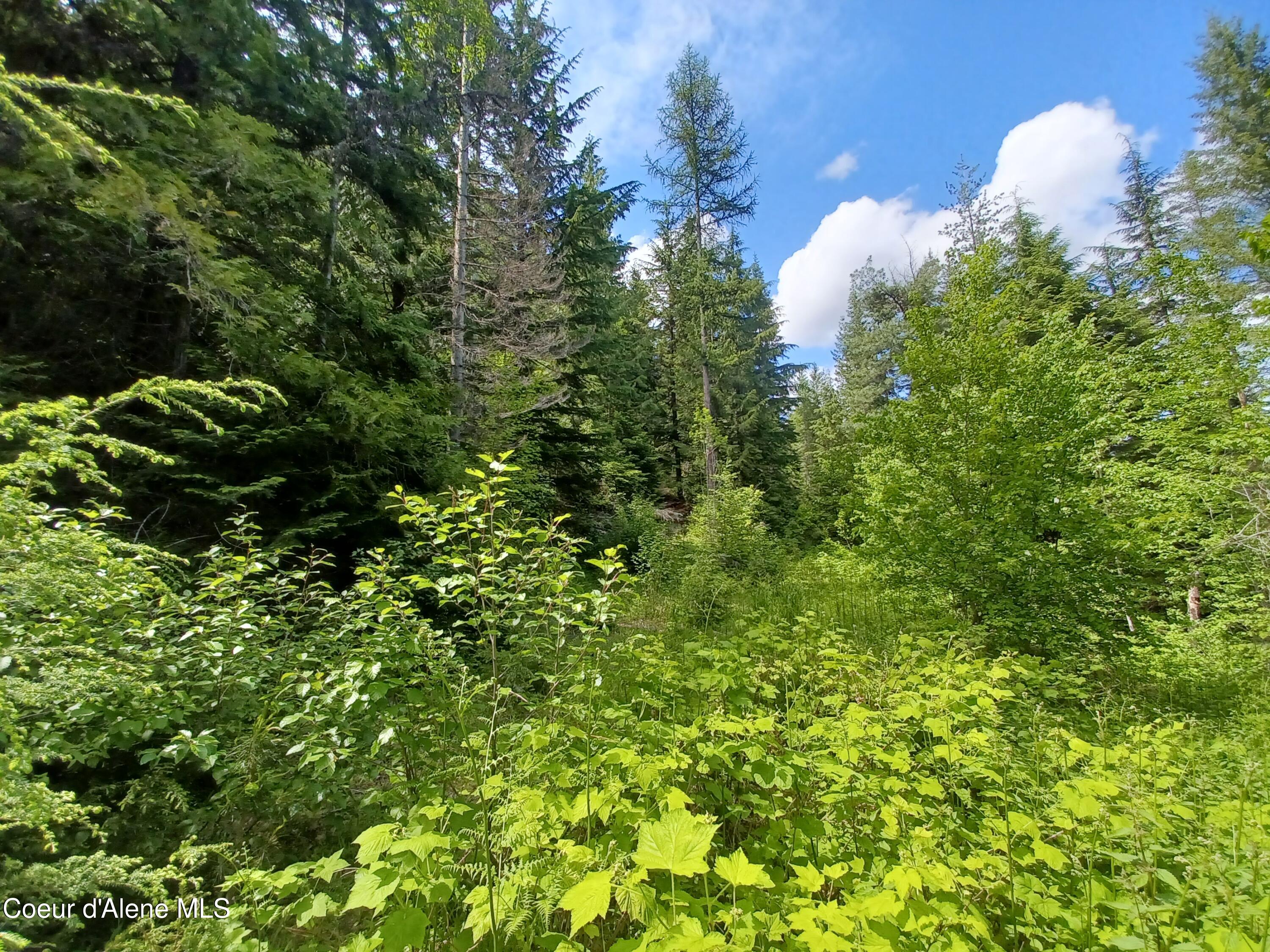 127 Coyote Trail Priest River, ID 83856 - Photo 15 of 29 Land
